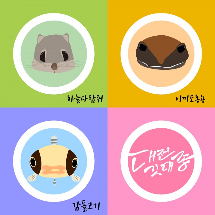 이미지